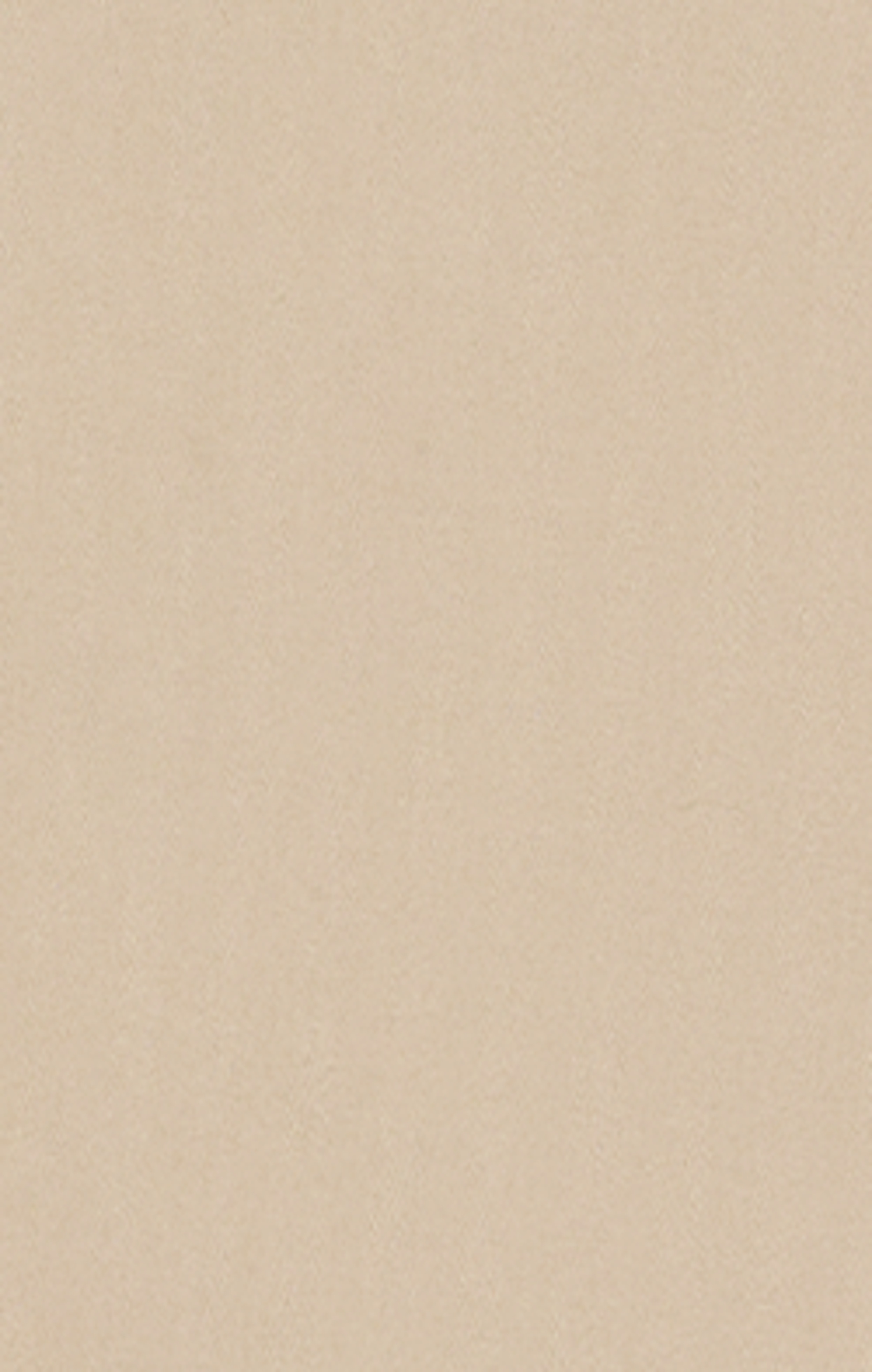 Timberwolf - Beige