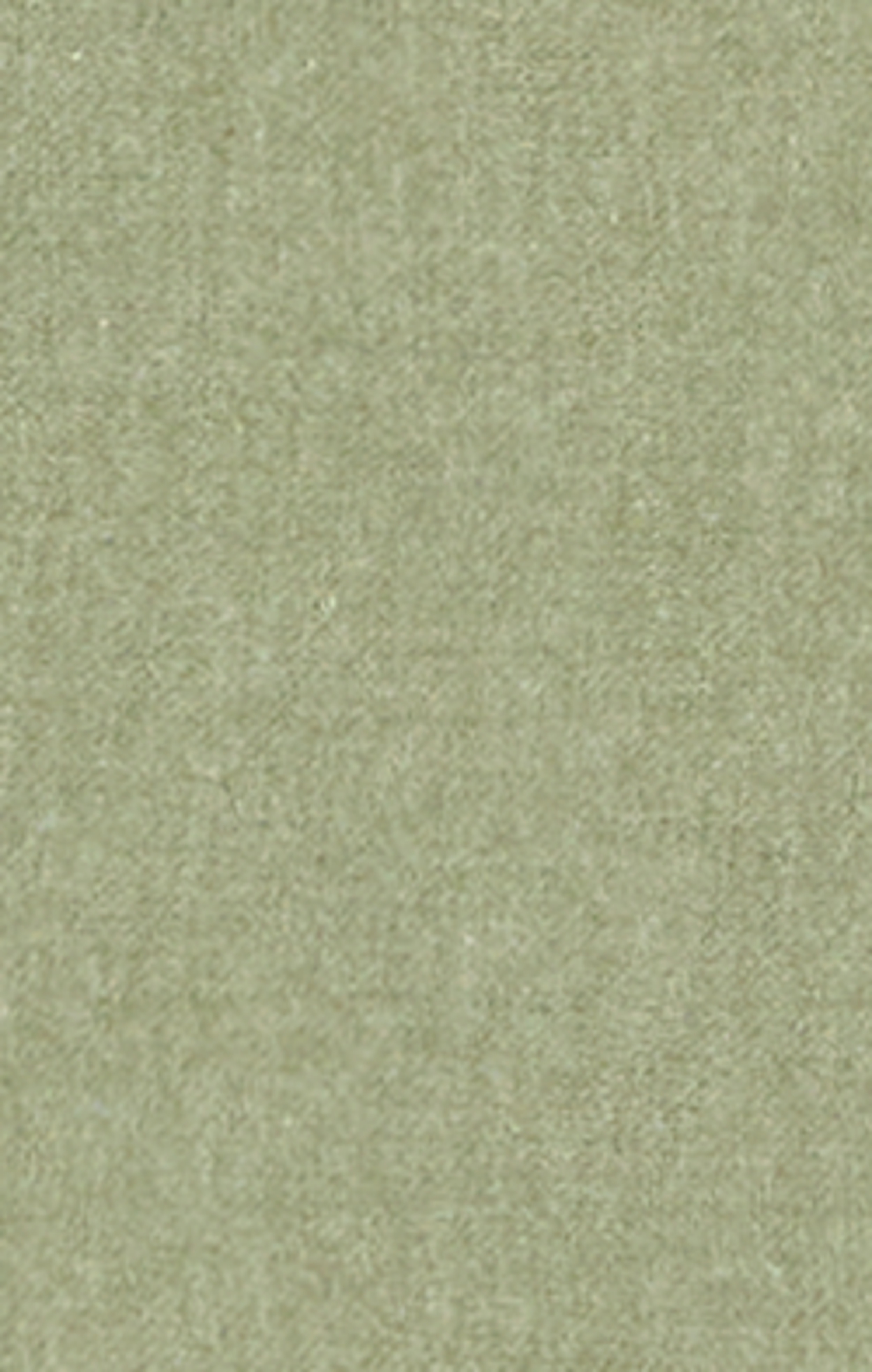 Winter Moss - Green