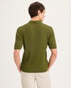 Back view of model wearing Avocado Sweater Polo, Regular Fit.