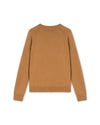 Men's Regular Fit Crewneck Sweater